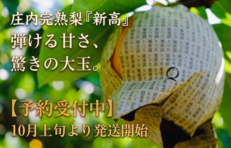 100年の歴史ある梨の産地
