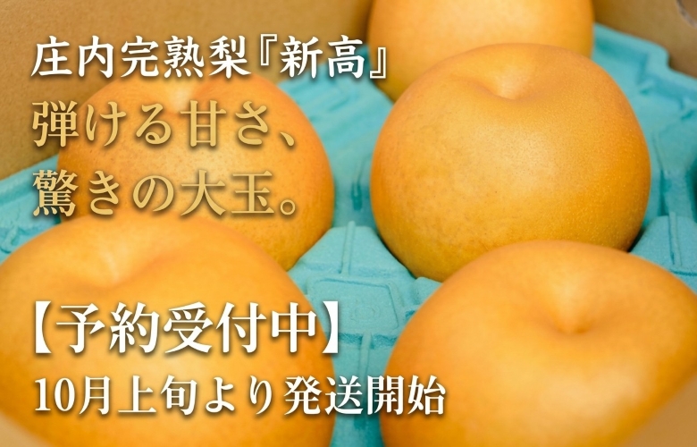 100年の歴史ある梨の産地