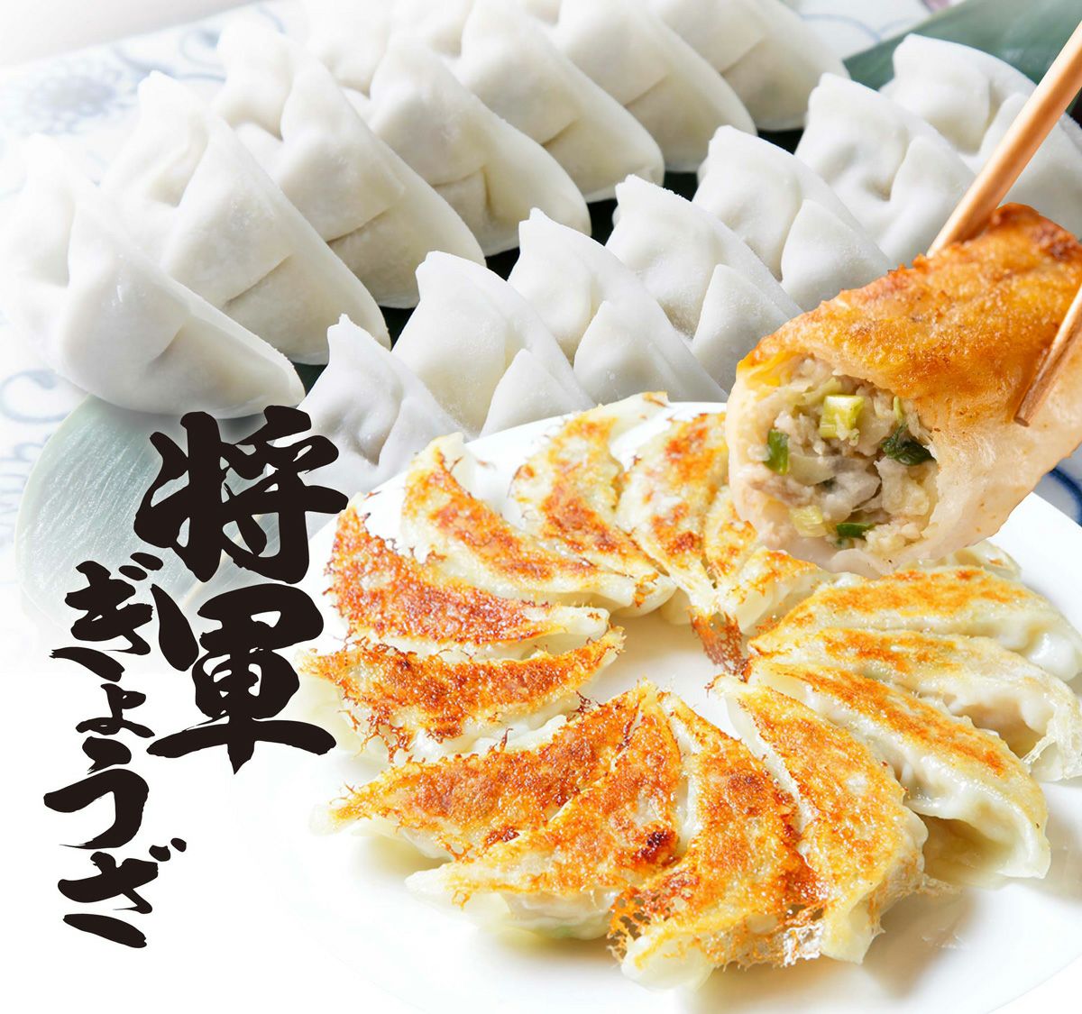 大分名物 将軍餃子 一口ぎょうざ【ヤマナミ麺芸社/産地直送】ひとくち