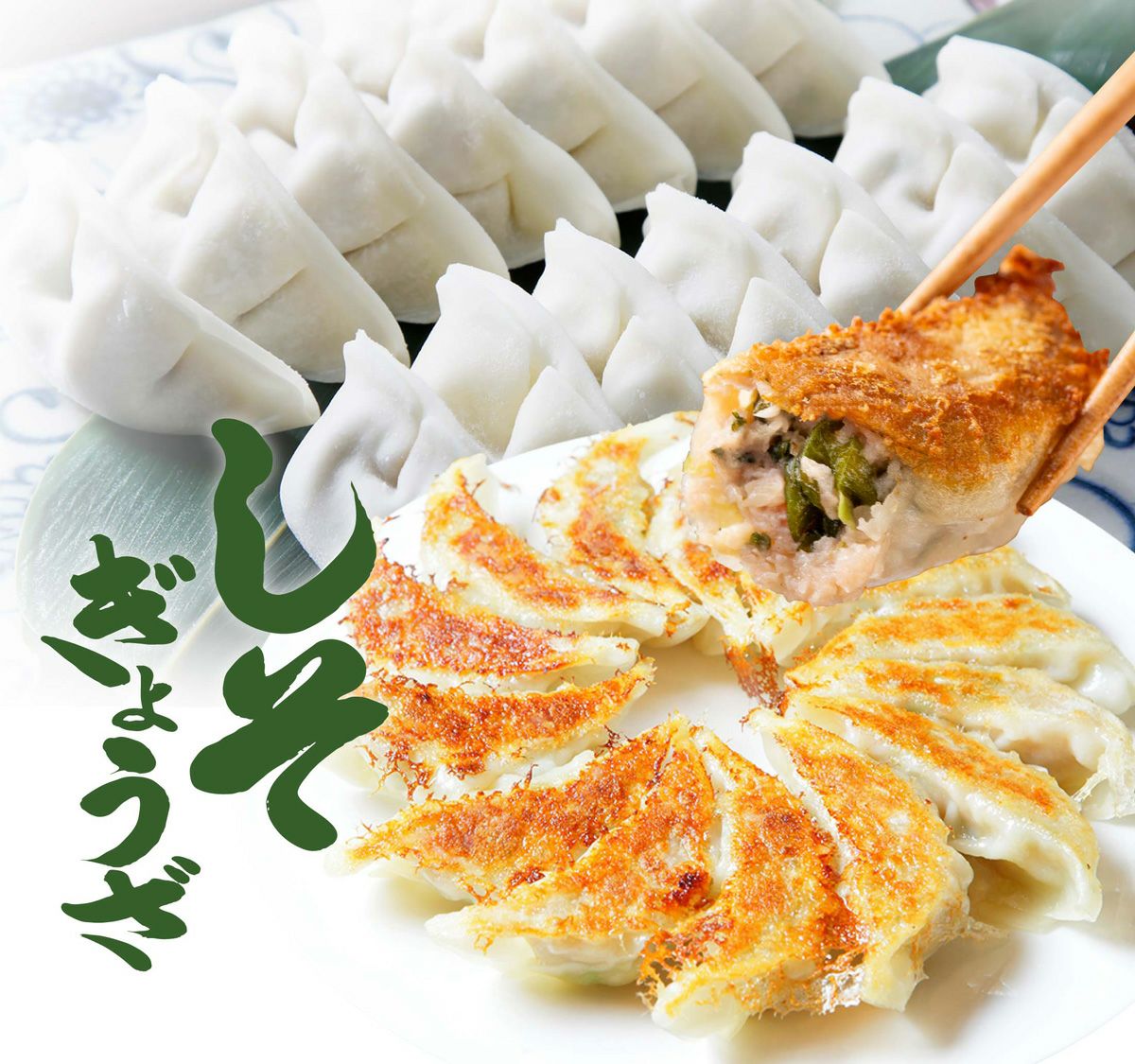 さわやか大葉がたっぷりの「しそ餃子」がパリパリに焼きあがり、箸で1粒持ち上げられている画像。大葉の風味でさっぱりと食べられる栄養満点の餃子。