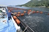 大分県内の養殖場で、豊後とらふぐに餌やりをしている生産風景の画像。大切に育てられた安心安全な大分県産とらふぐを産地直送。