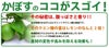 大分県産の無農薬・無添加の有機かぼすの画像。青果のかぼすを産地直送でお取り寄せ、通販で販売。