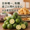 大分県産の無農薬・無添加の有機かぼすの画像。青果のかぼすを産地直送でお取り寄せ、通販で販売。