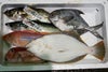 大分・豊後水道で水揚げされた旬の鮮魚を厳選した「プロおまかせ旬魚セット【竹】」の箱詰め画像。産地直送でお届けする、刺身や煮付けに使える大分県産の新鮮な魚セットを通販でお取り寄せ。