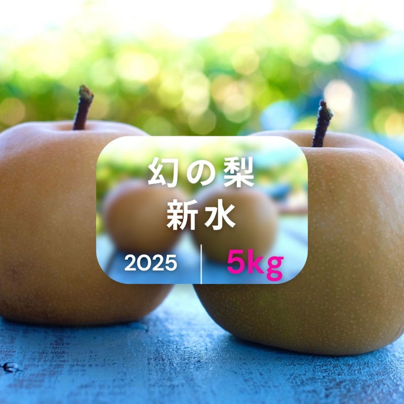大分県産の幻の梨『新水』の画像。3日間限定出荷の希少な「新水」を産地直送でお取り寄せ、通販で販売。
