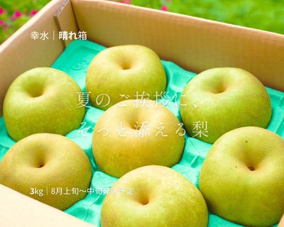 大分県産の庄内甘熟梨『幸水』の画像。シャリシャリとした食感と高い糖度の「幸水」を産地直送でお取り寄せ。