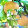 大分県産の庄内甘熟梨『豊水』の画像。濃厚な甘さと豊かな果汁の「豊水」を産地直送でお取り寄せ、通販で販売中。
