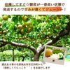 大分県産の庄内甘熟梨『豊水』の画像。濃厚な甘さと豊かな果汁の「豊水」を産地直送でお取り寄せ、通販で販売中。
