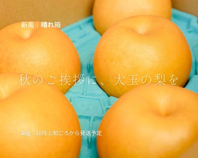 大分県産の庄内甘熟梨『新高』の画像。大玉でみずみずしい「新高」を産地直送でお取り寄せ、通販でギフト購入。