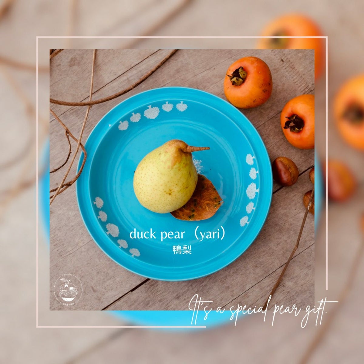 大分県産の稀少な鴨梨（ヤーリー）3kgの画像。限定出荷の甘熟ヤーリーを産地直送でお取り寄せ、通販でギフトにも。