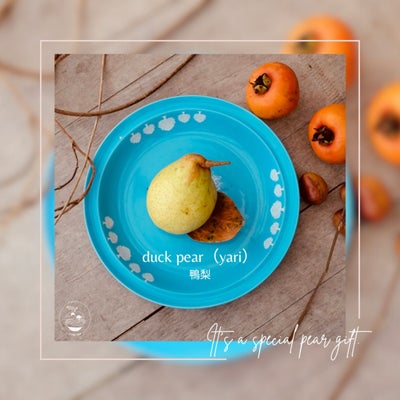 大分県産の稀少な鴨梨（ヤーリー）3kgの画像。限定出荷の甘熟ヤーリーを産地直送でお取り寄せ、通販でギフトにも。