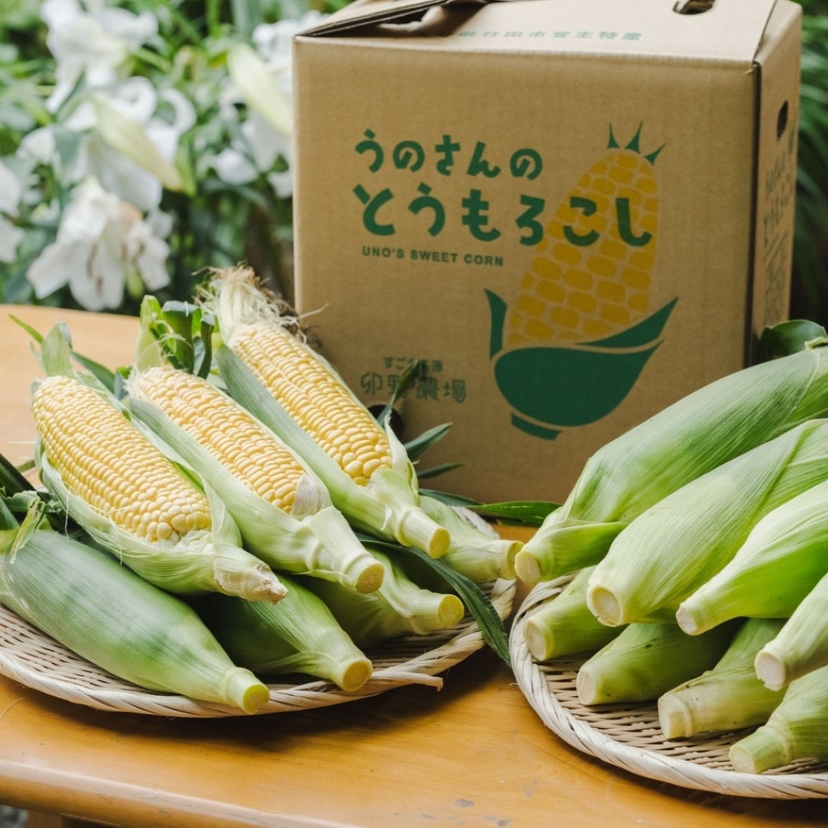 大分県竹田市・卯野農場の「うのさんのとうもろこし」専用ギフトボックスと、鮮やかな黄色い粒が並ぶ新鮮なとうもろこし