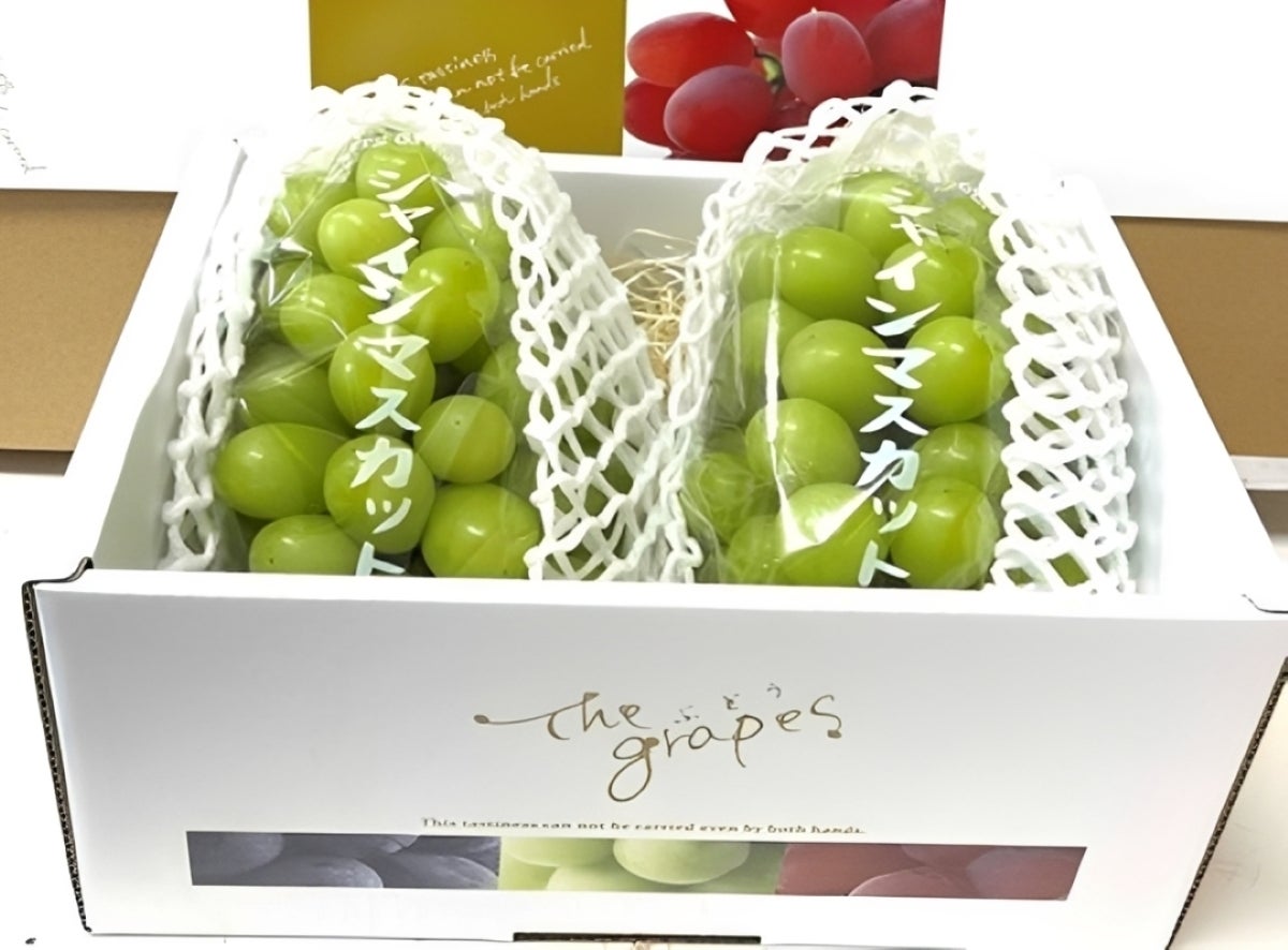 【豊後大野の宝石】朝採り完熟シャインマスカット1.2kg津留来屋農園